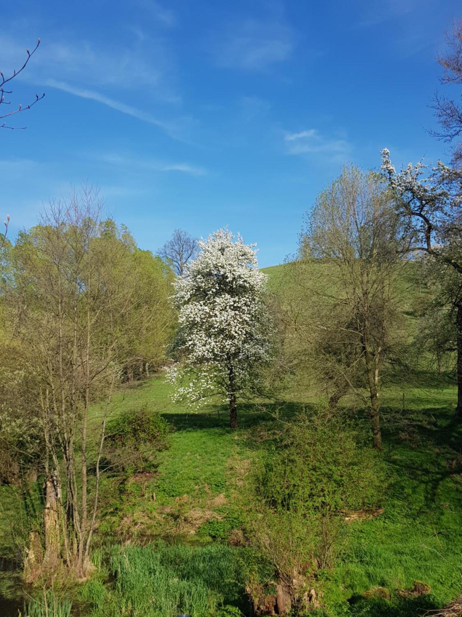 Na Piotrowickiej Przeleczy Vila Bystrzyca Kłodzka Exterior foto