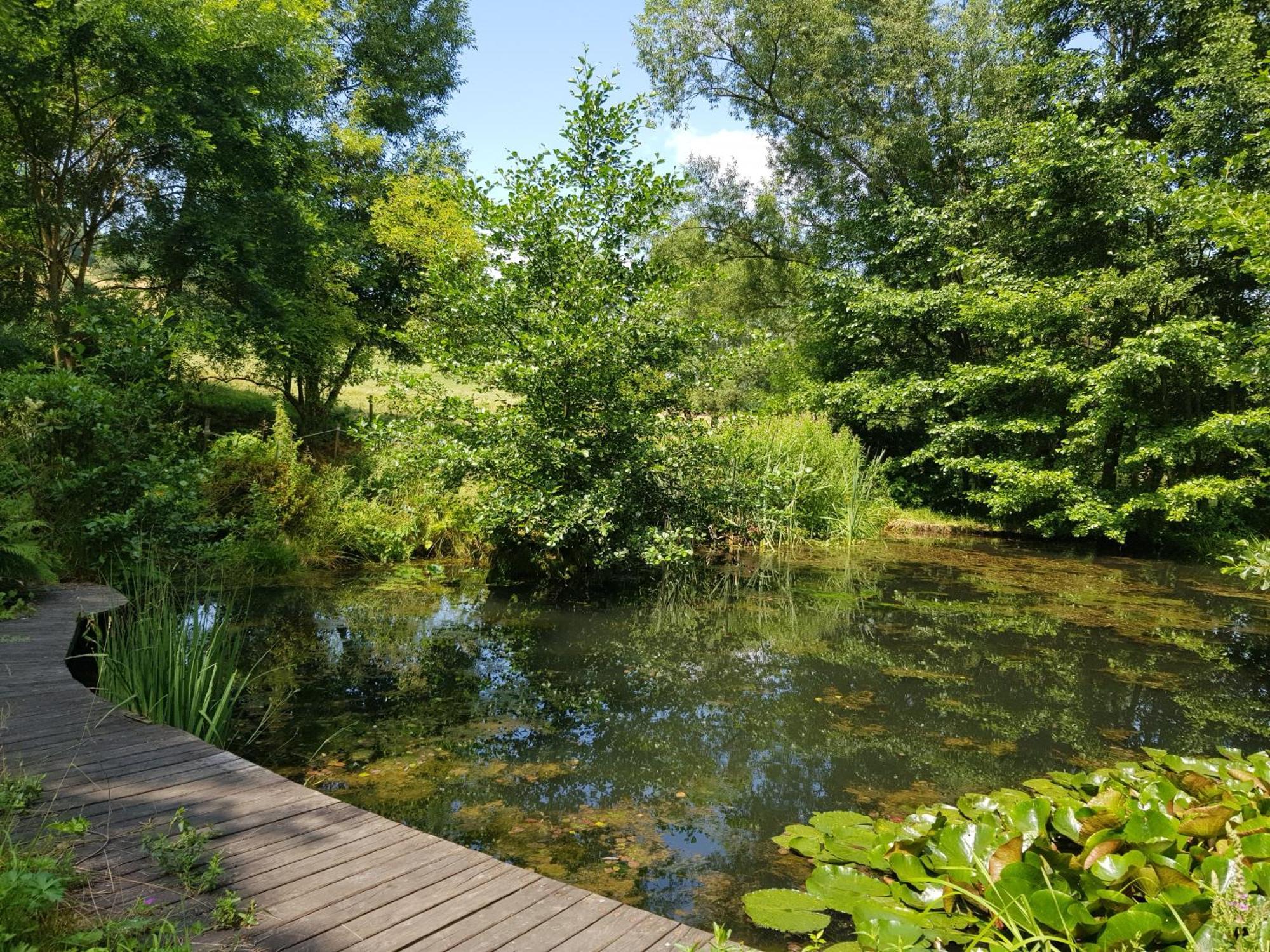 Na Piotrowickiej Przeleczy Vila Bystrzyca Kłodzka Exterior foto