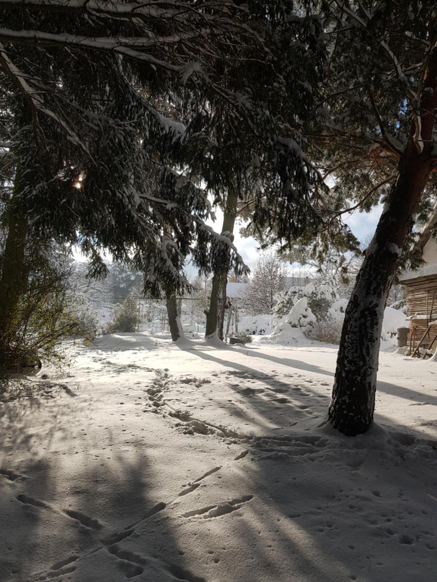 Na Piotrowickiej Przeleczy Vila Bystrzyca Kłodzka Exterior foto